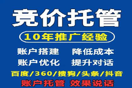 谷歌SEM广告投放的ROI优化：一家科技公司的成功经验